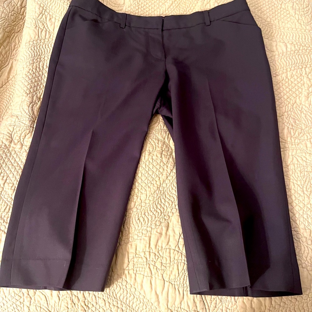 Theory Excellent Condition Long Shorts. Dark Brn Sz 6.